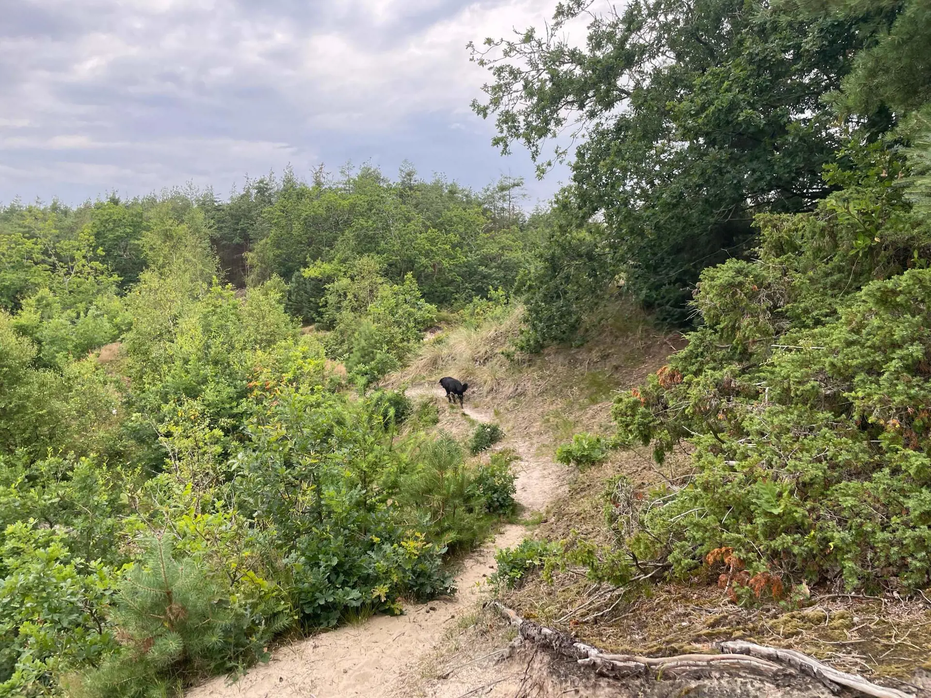 Bild 30 von 33