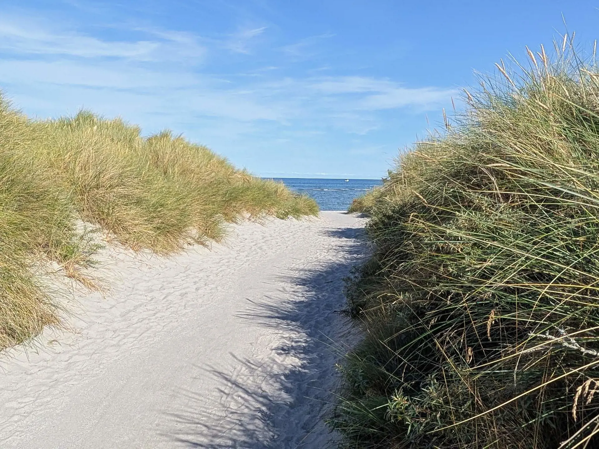 Bild 34 von 34