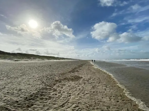 Bild 27 von 54