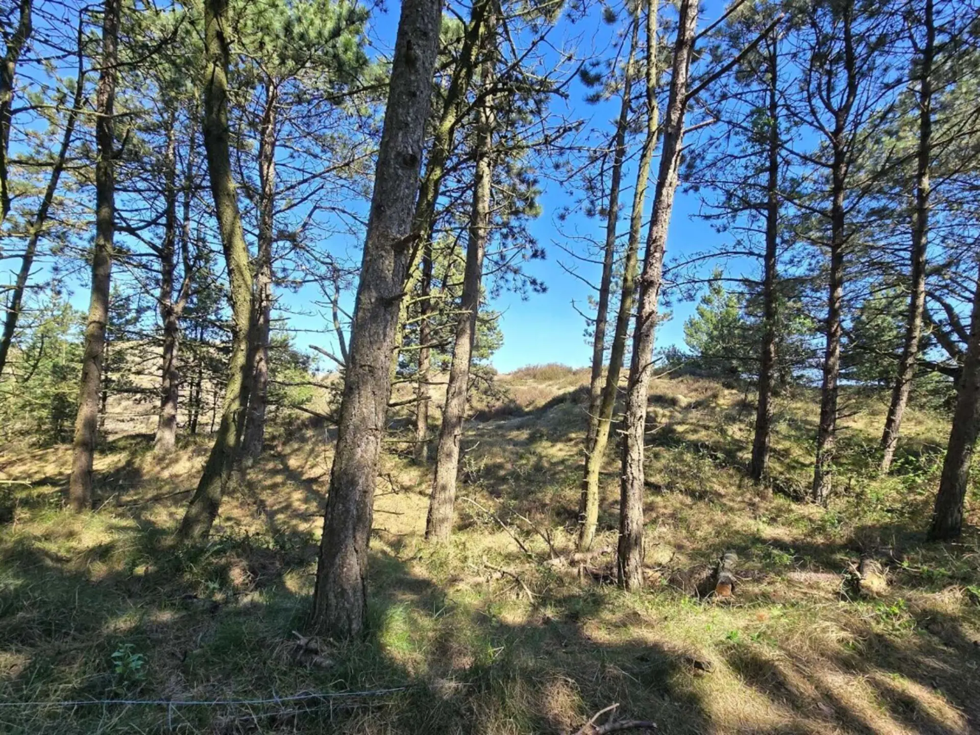 Bild 29 von 36