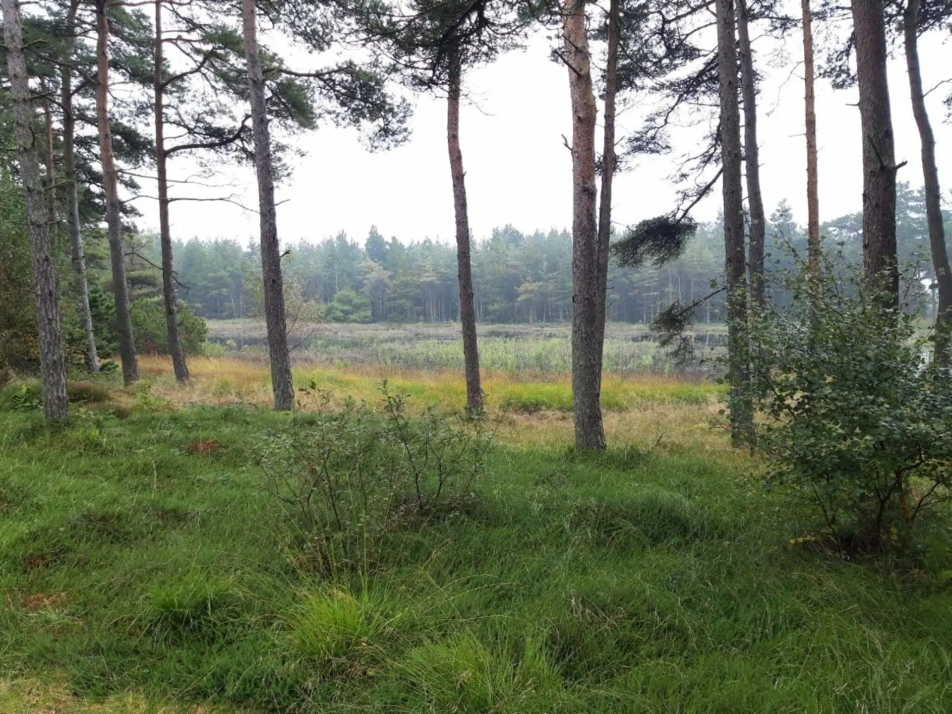 Bild 34 von 36