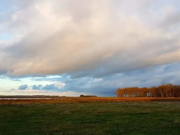Bild 34 von 36