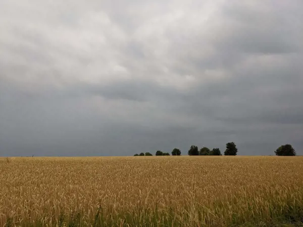 Bild 38 von 40
