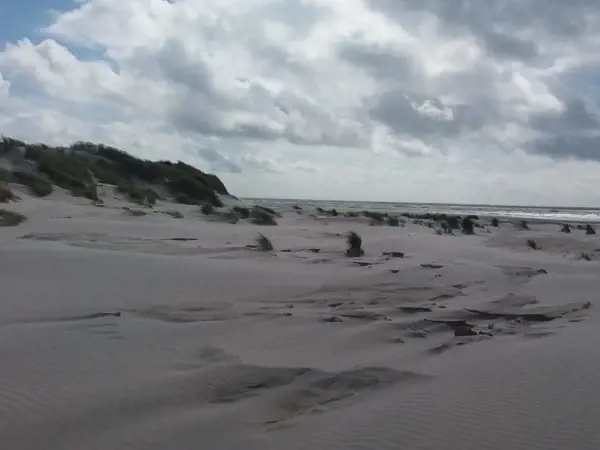 Bild 38 von 38