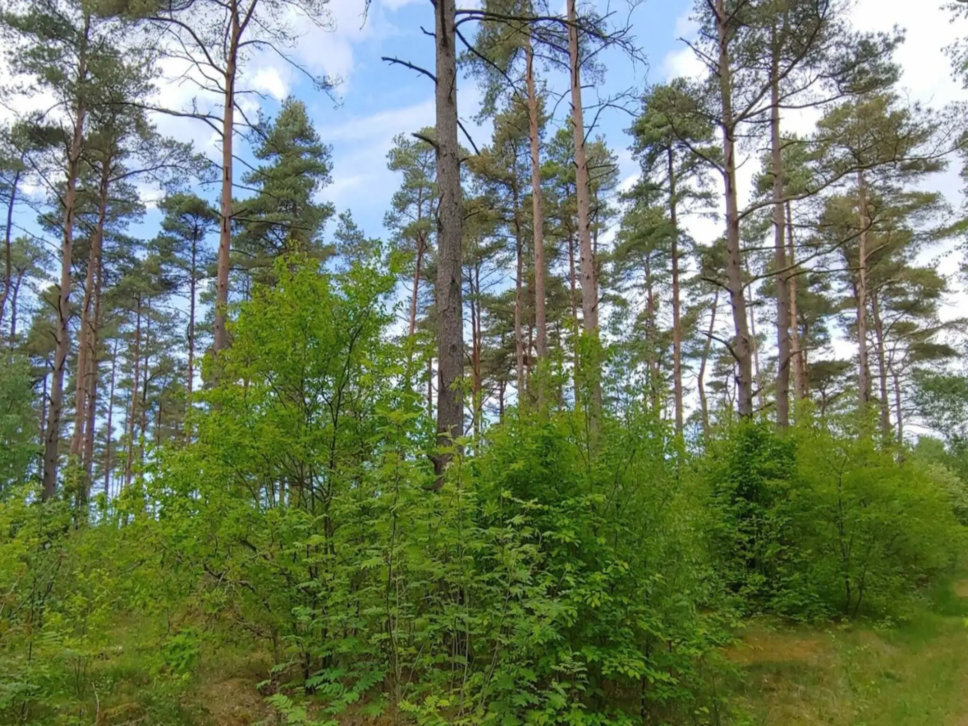 Bild 39 von 41