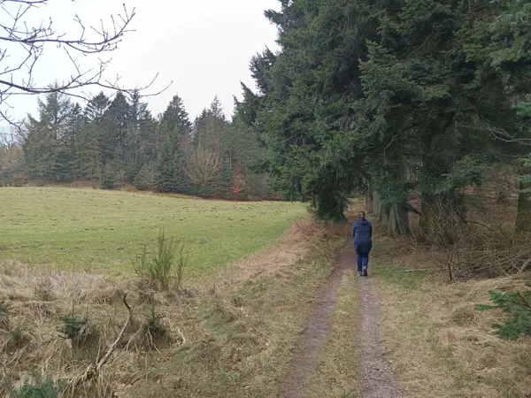 Bild 35 von 38