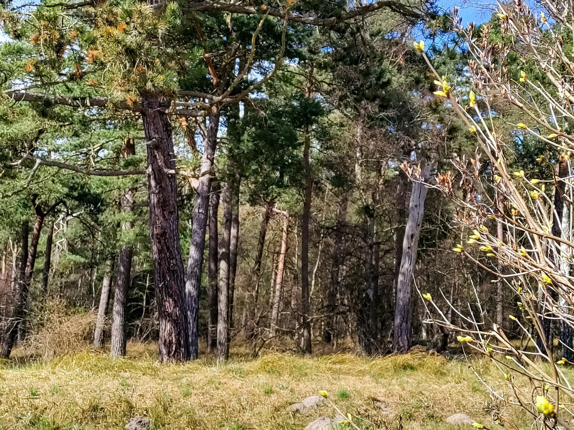 Bild 34 von 36