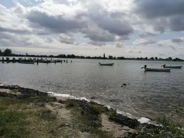 Bild 32 von 53