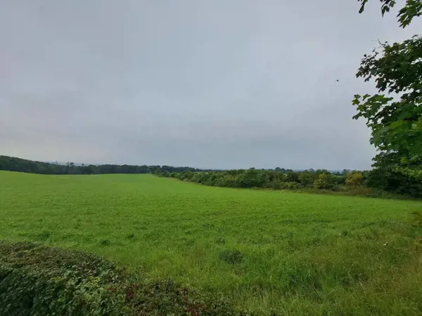 Bild 34 von 39