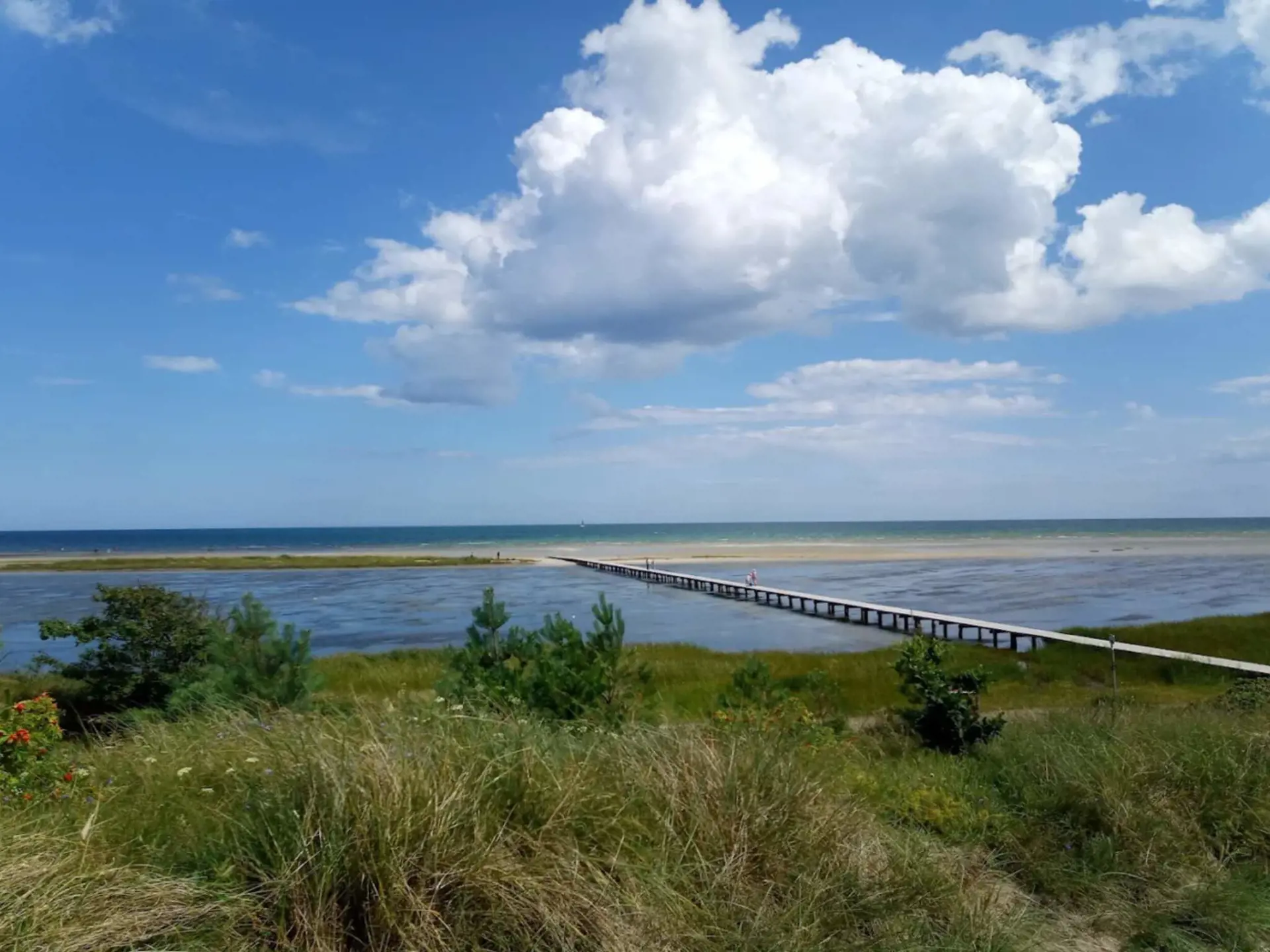 Bild 38 von 43