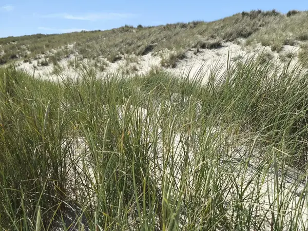 Bild 36 von 36
