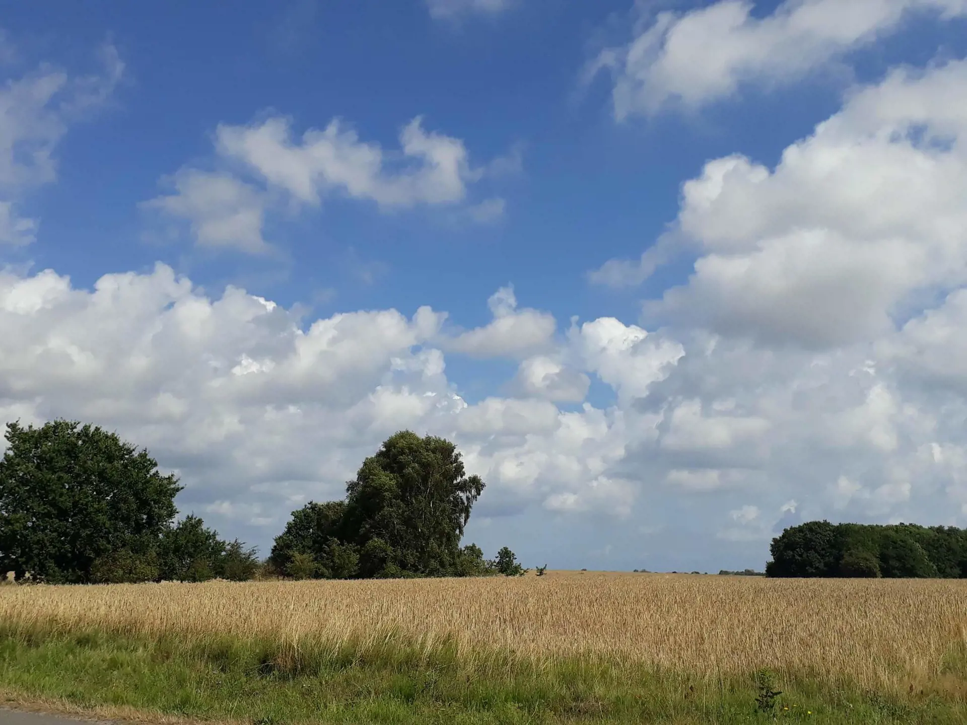 Bild 25 von 40