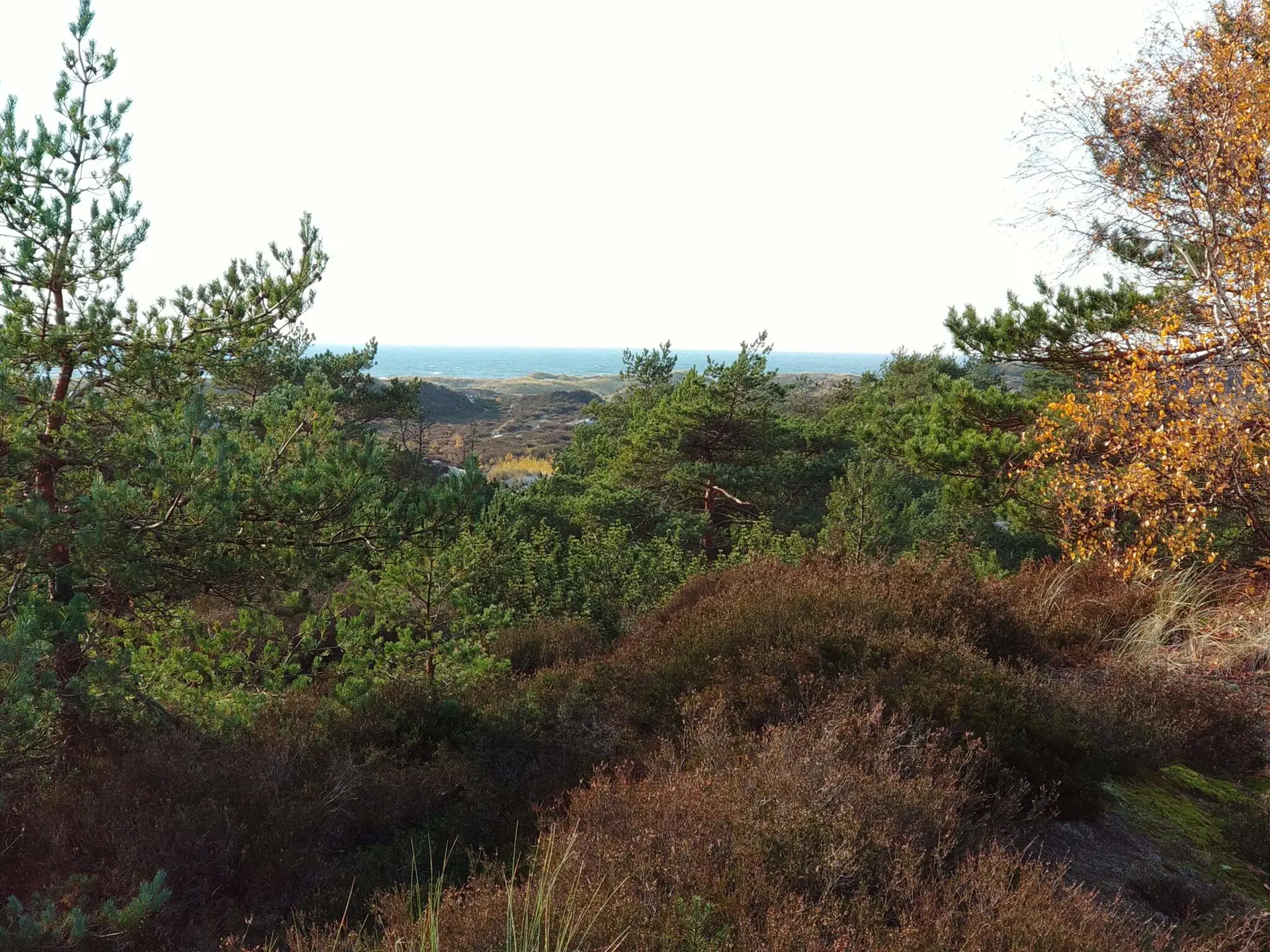 Bild 33 von 40