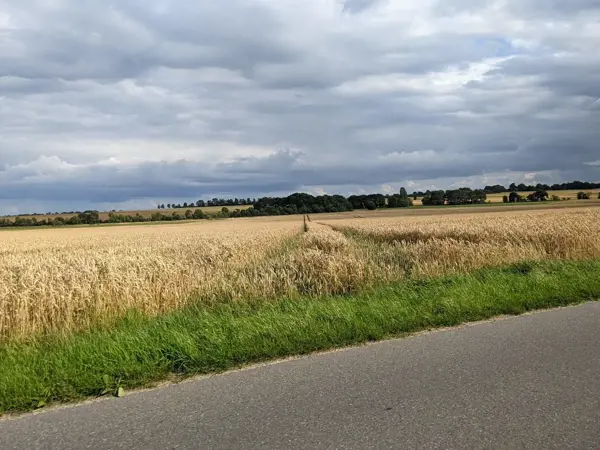 Bild 34 von 35