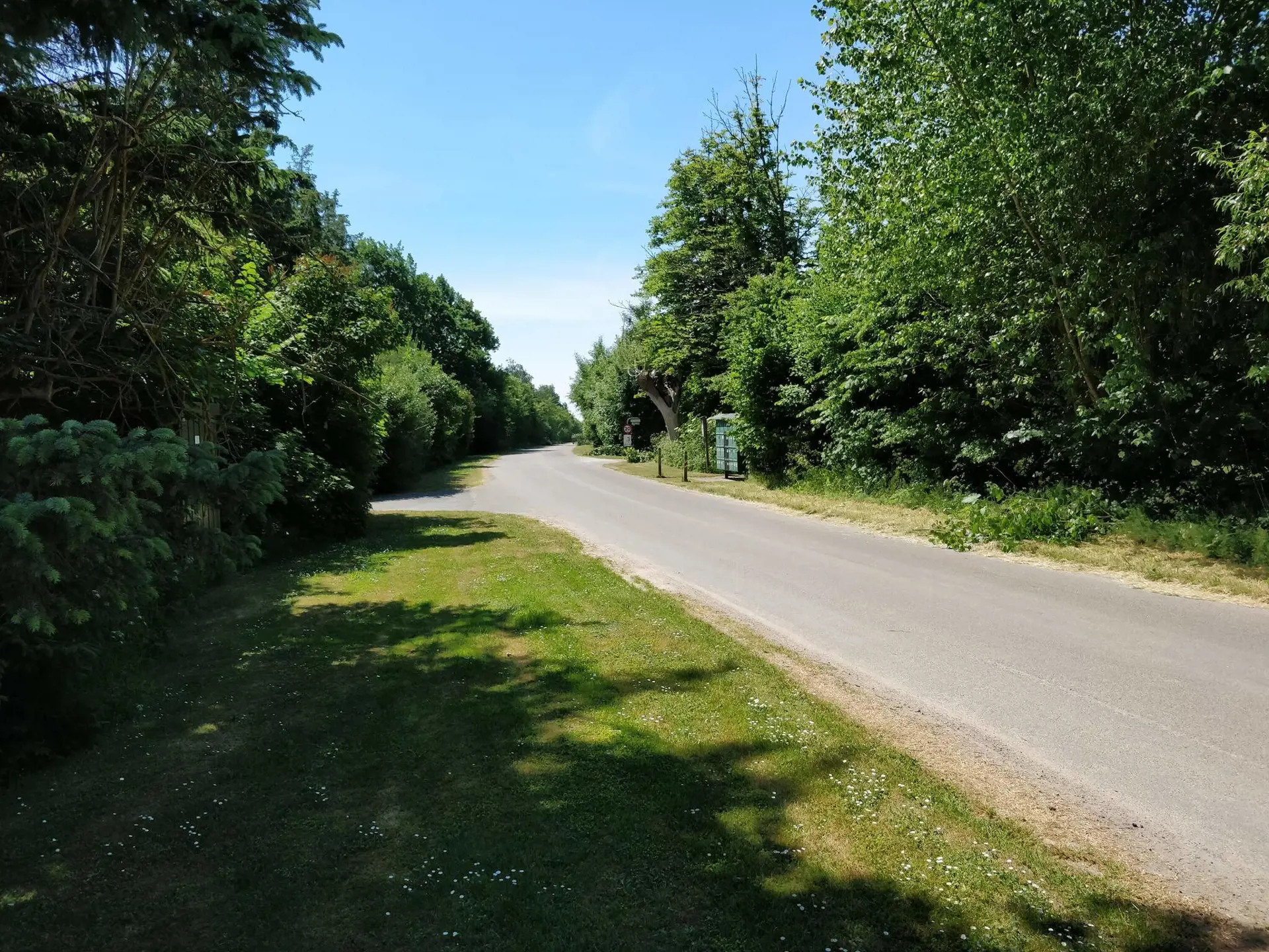Bild 33 von 35