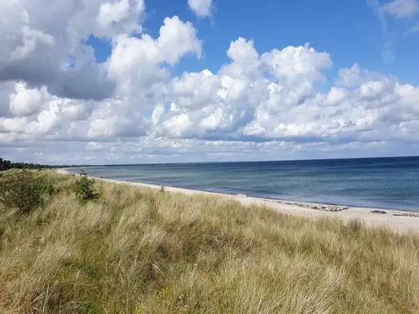 Bild 16 von 33