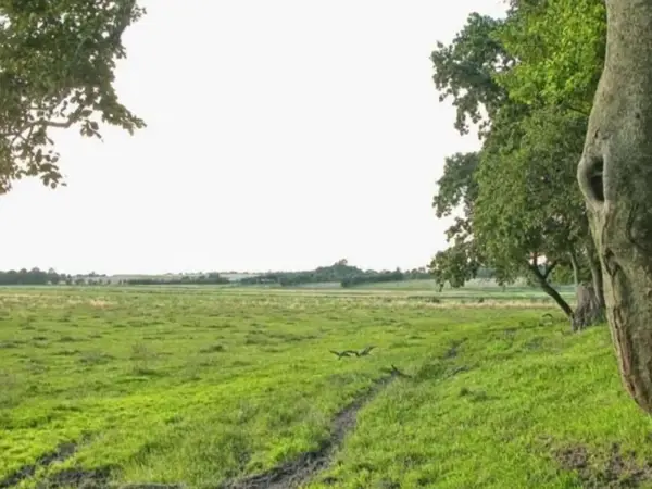 Bild 41 von 48