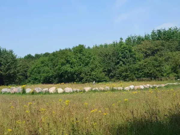 Bild 35 von 48