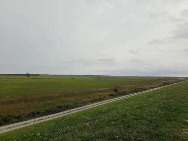 Bild 44 von 48