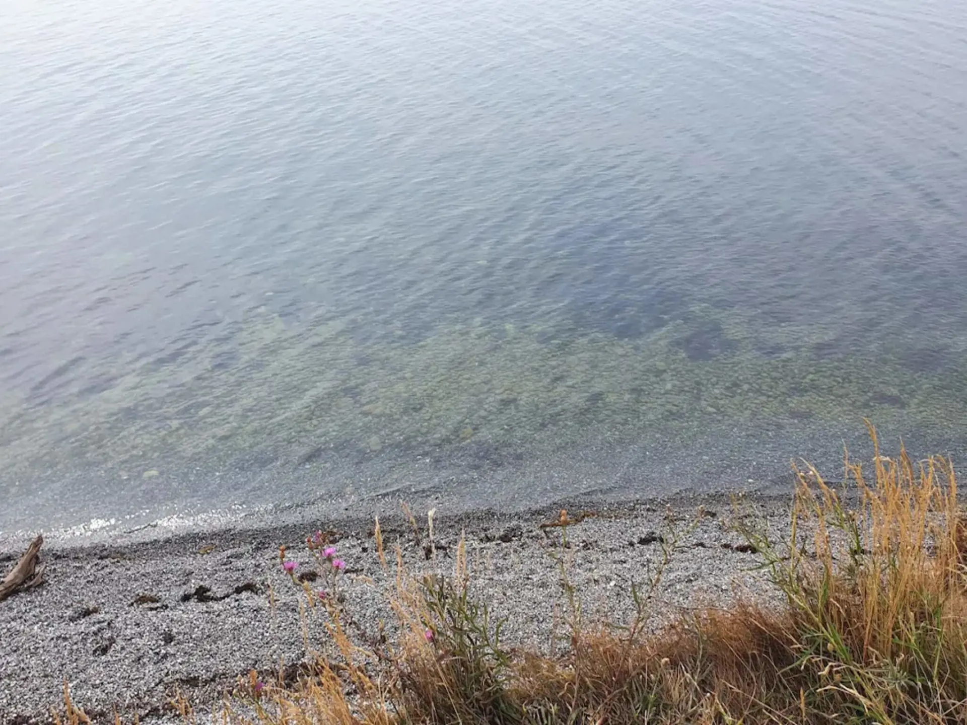 Bild 39 von 62
