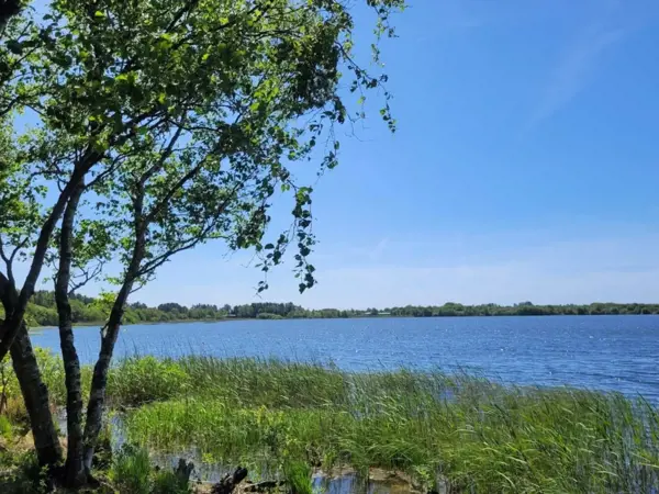 Bild 23 von 40