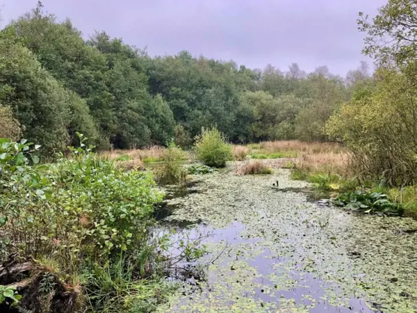 Bild 25 von 40