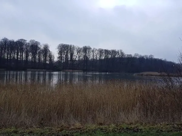 Bild 35 von 38