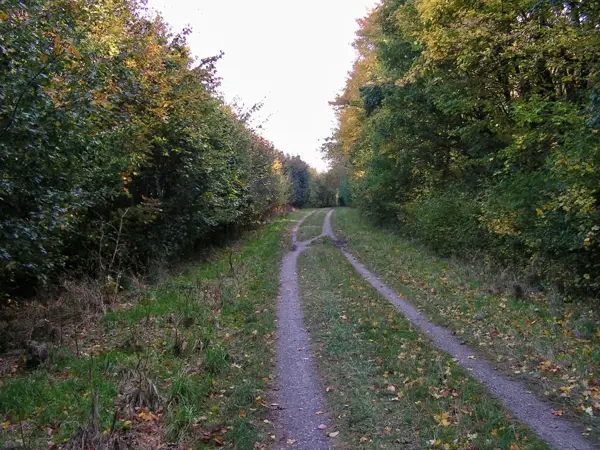 Bild 24 von 37