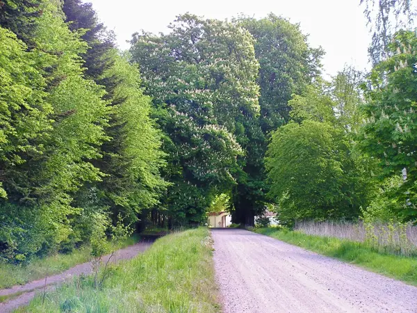 Bild 25 von 37