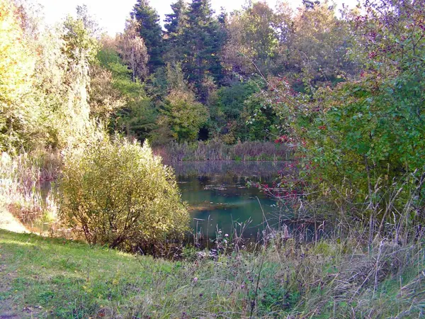 Bild 27 von 37