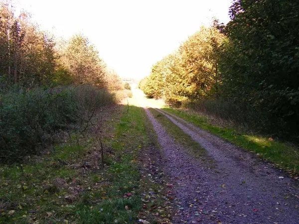 Bild 30 von 37