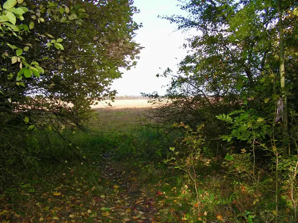 Bild 31 von 37