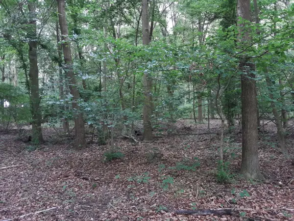 Bild 33 von 37