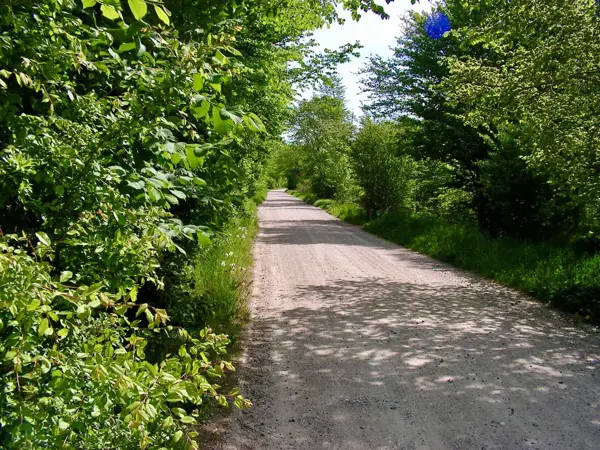 Bild 35 von 37
