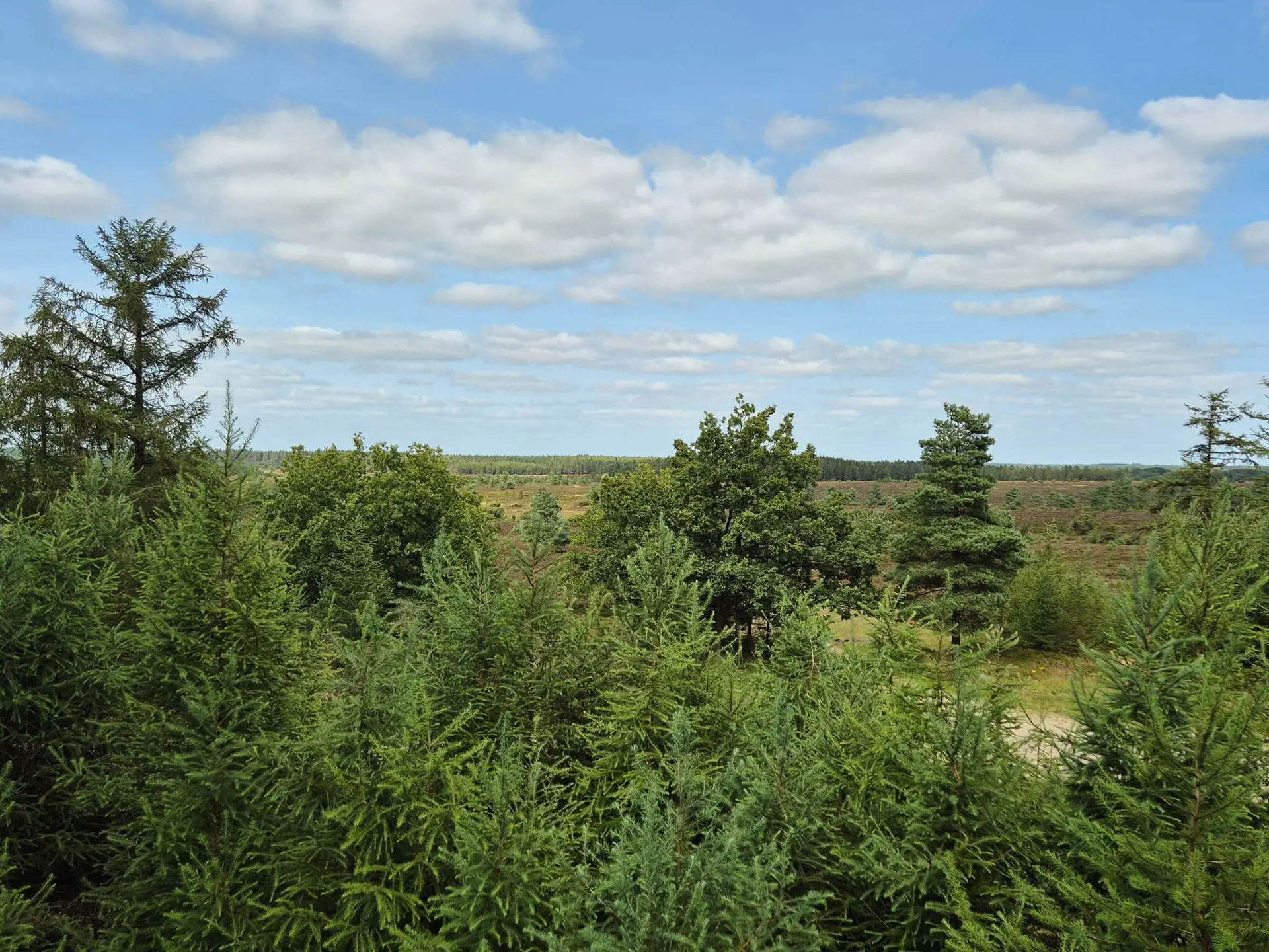 Bild 36 von 38