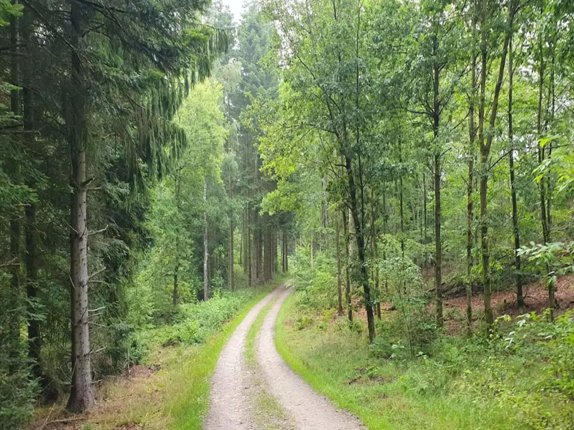 Bild 38 von 41