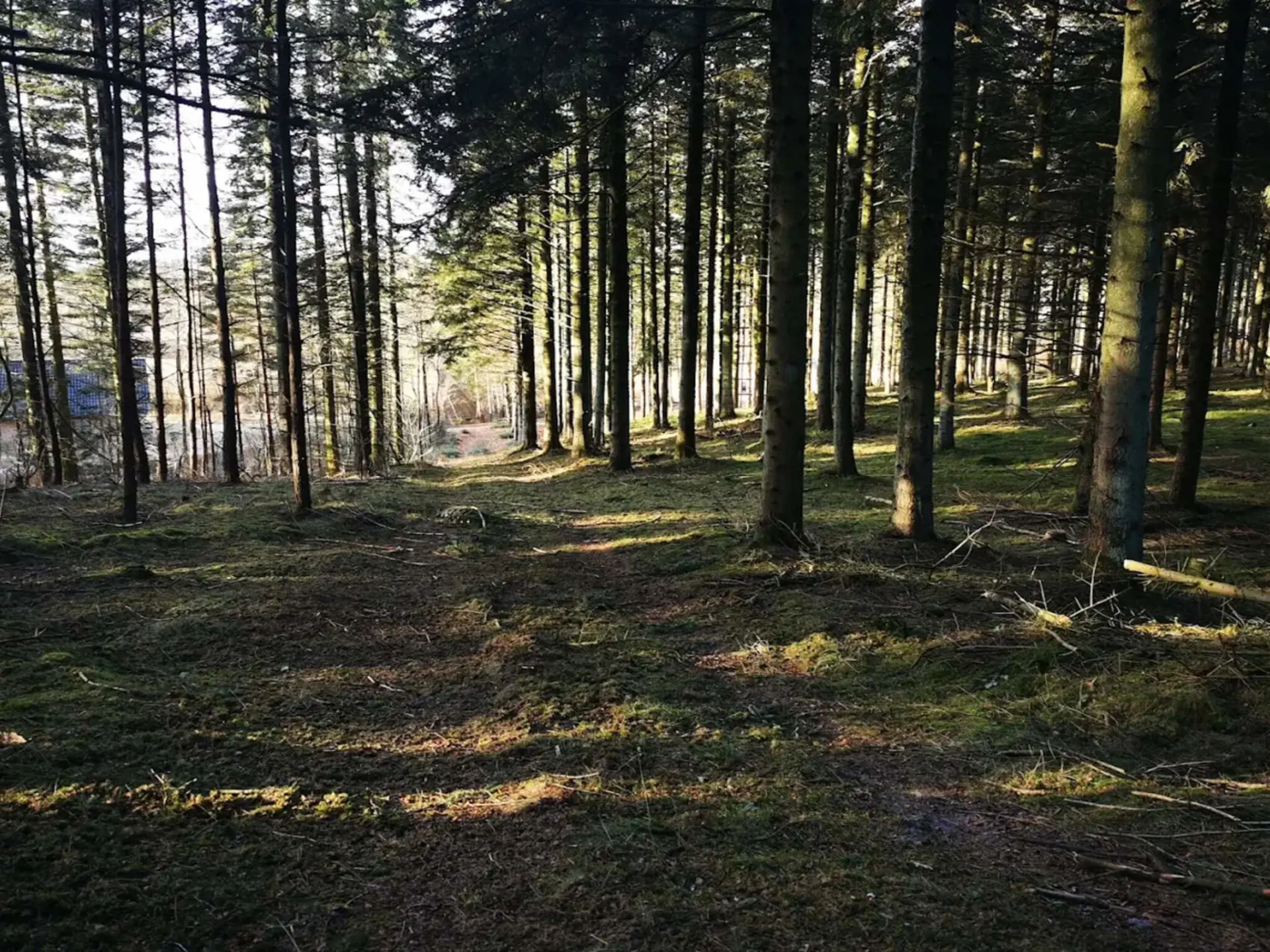 Bild 39 von 41