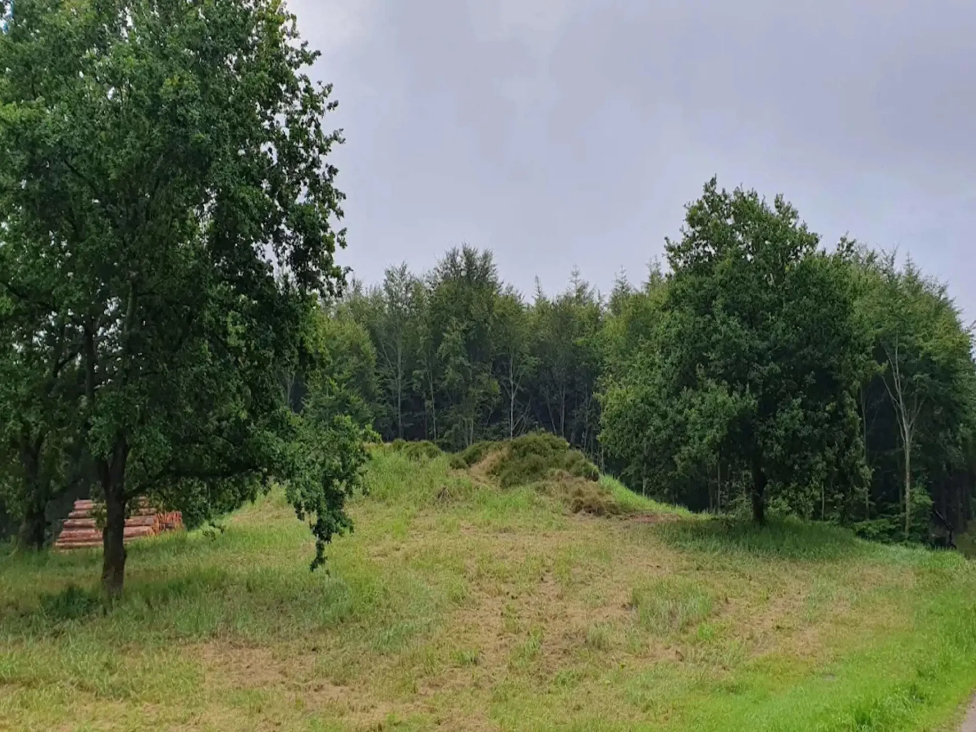 Bild 40 von 41