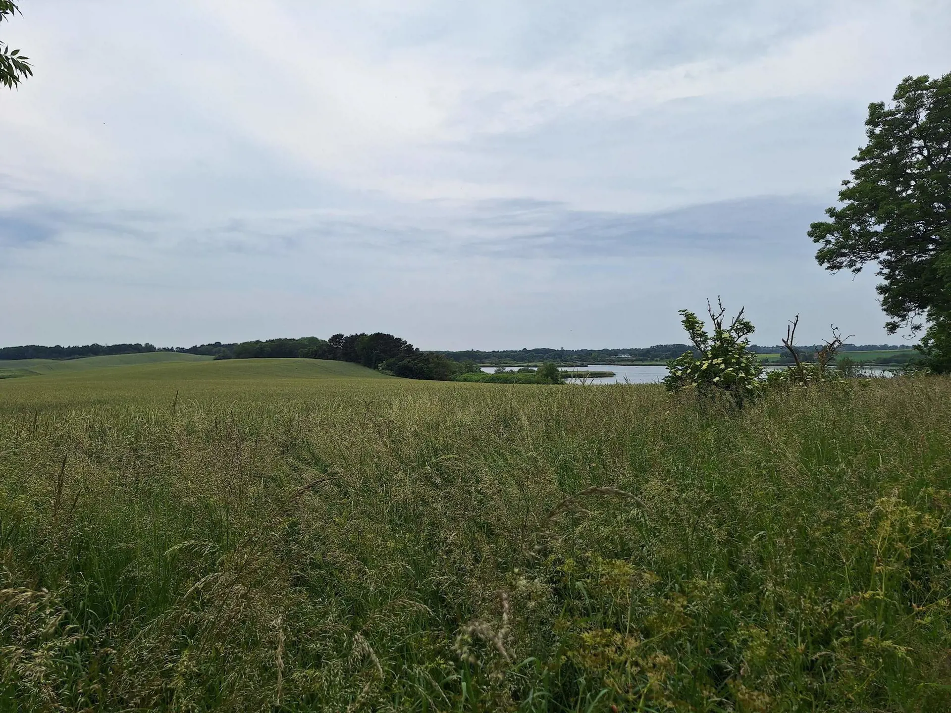 Bild 31 von 36