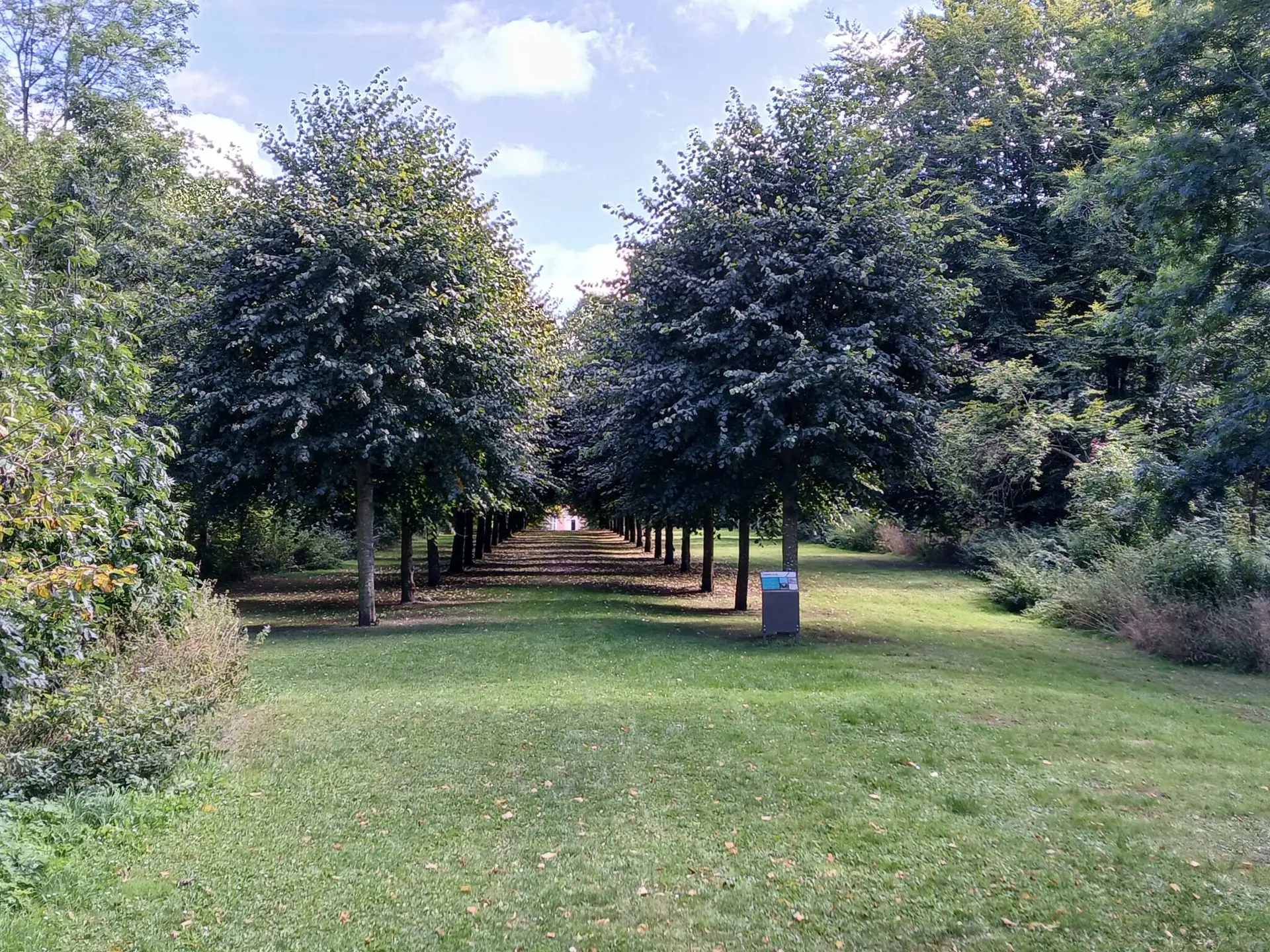 Bild 32 von 36