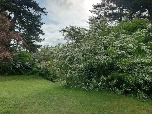 Bild 35 von 36