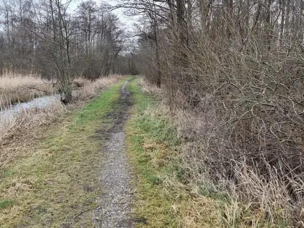 Bild 36 von 46