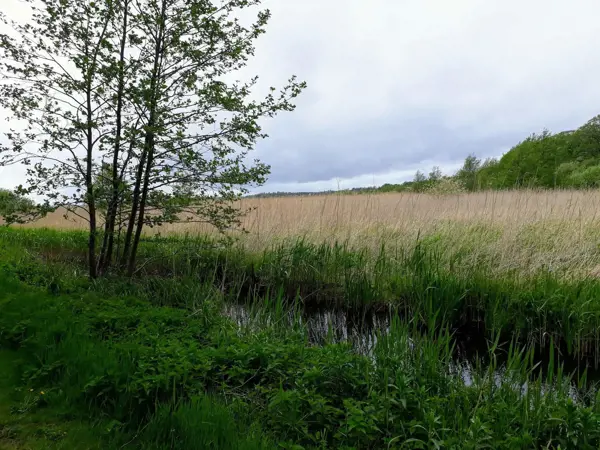 Bild 46 von 46