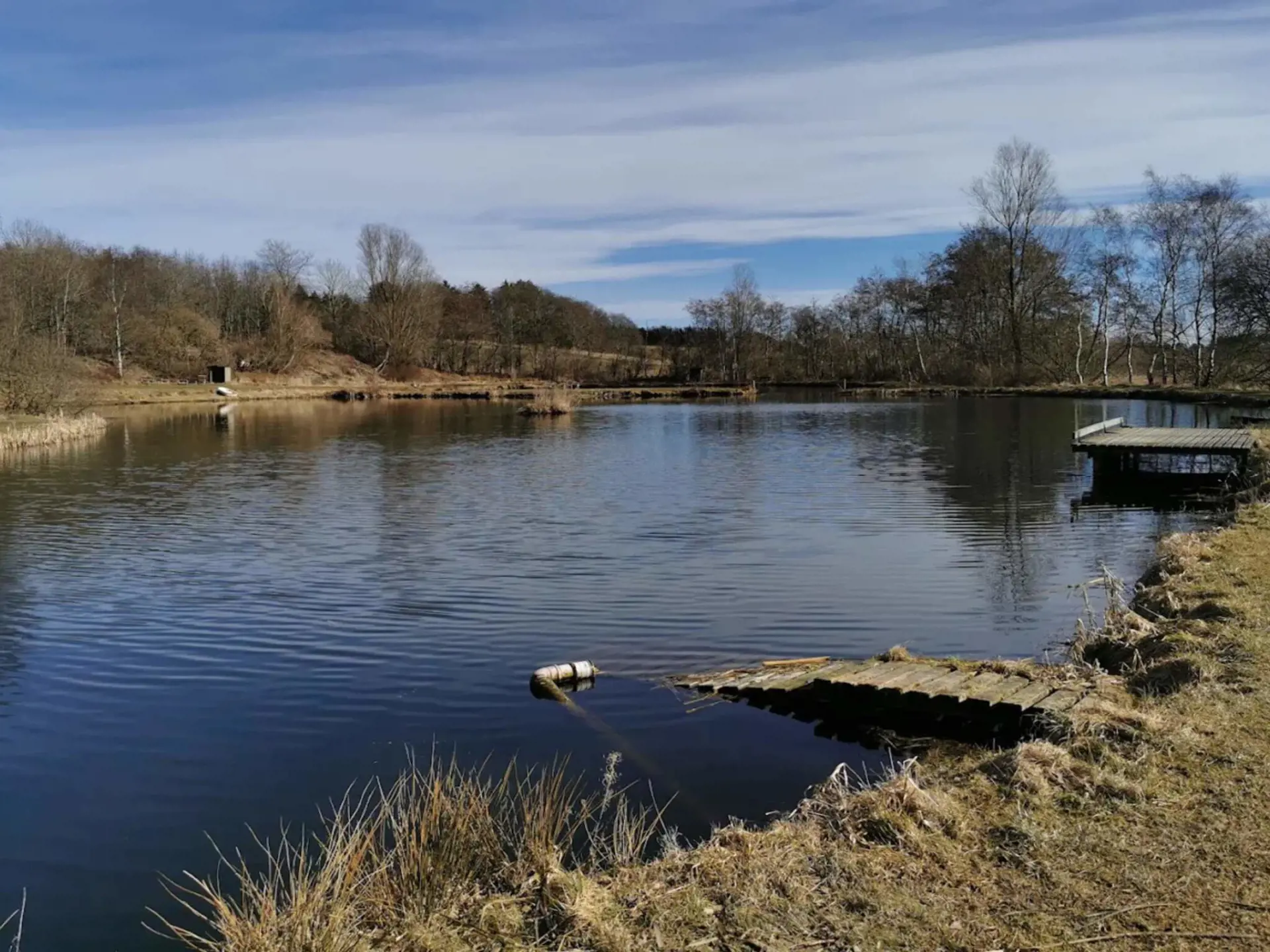 Bild 19 von 41