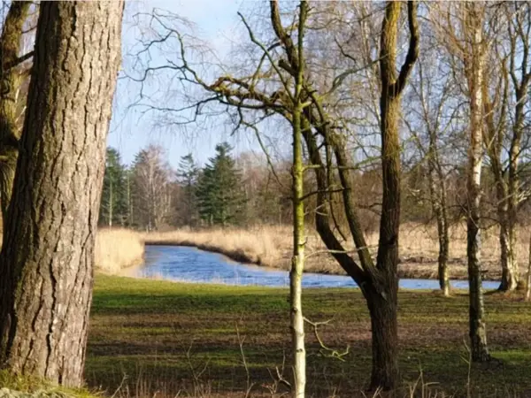 Bild 21 von 31
