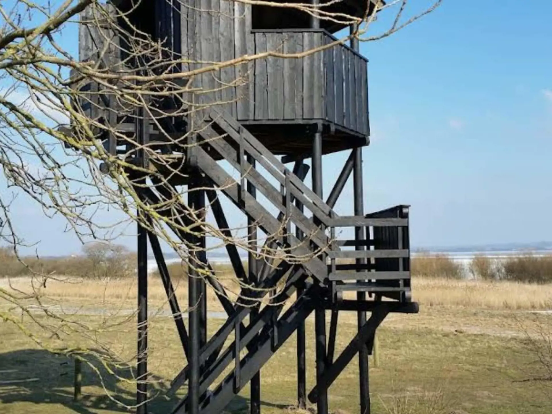 Bild 29 von 31