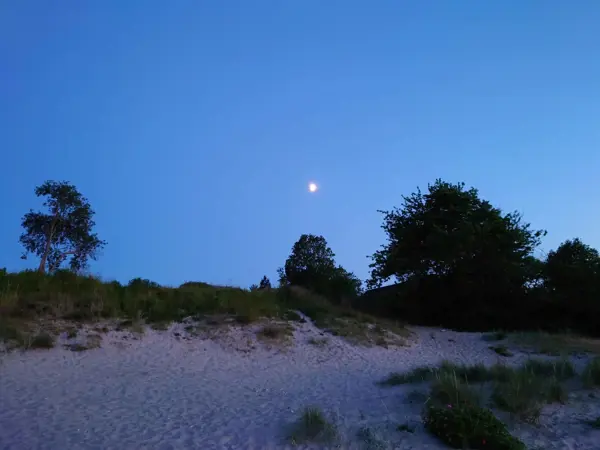 Bild 3 von 44