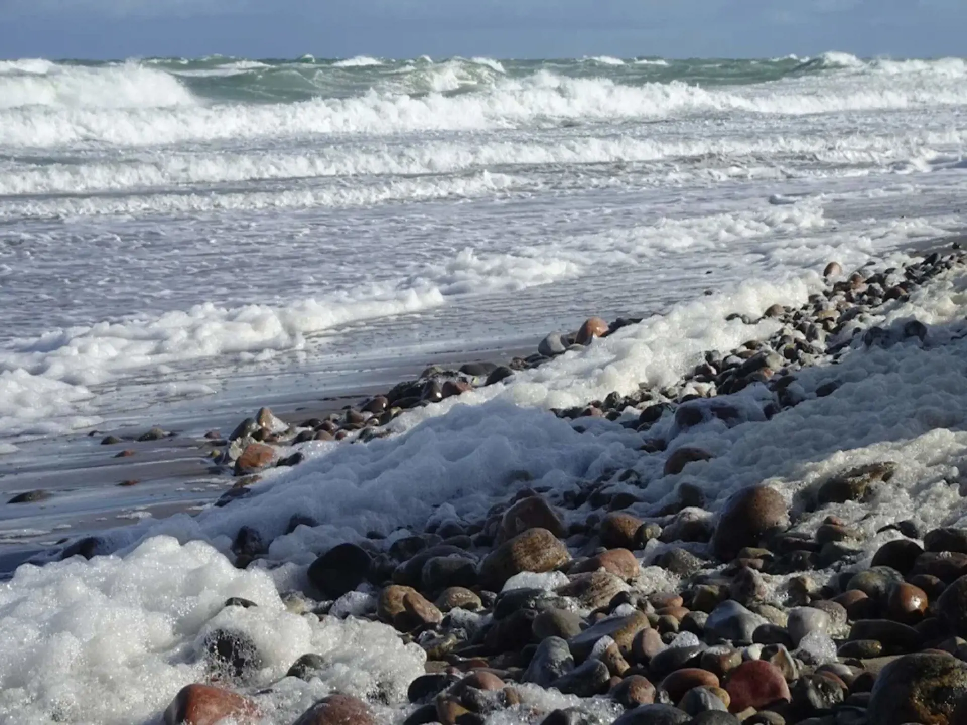 Bild 16 von 55