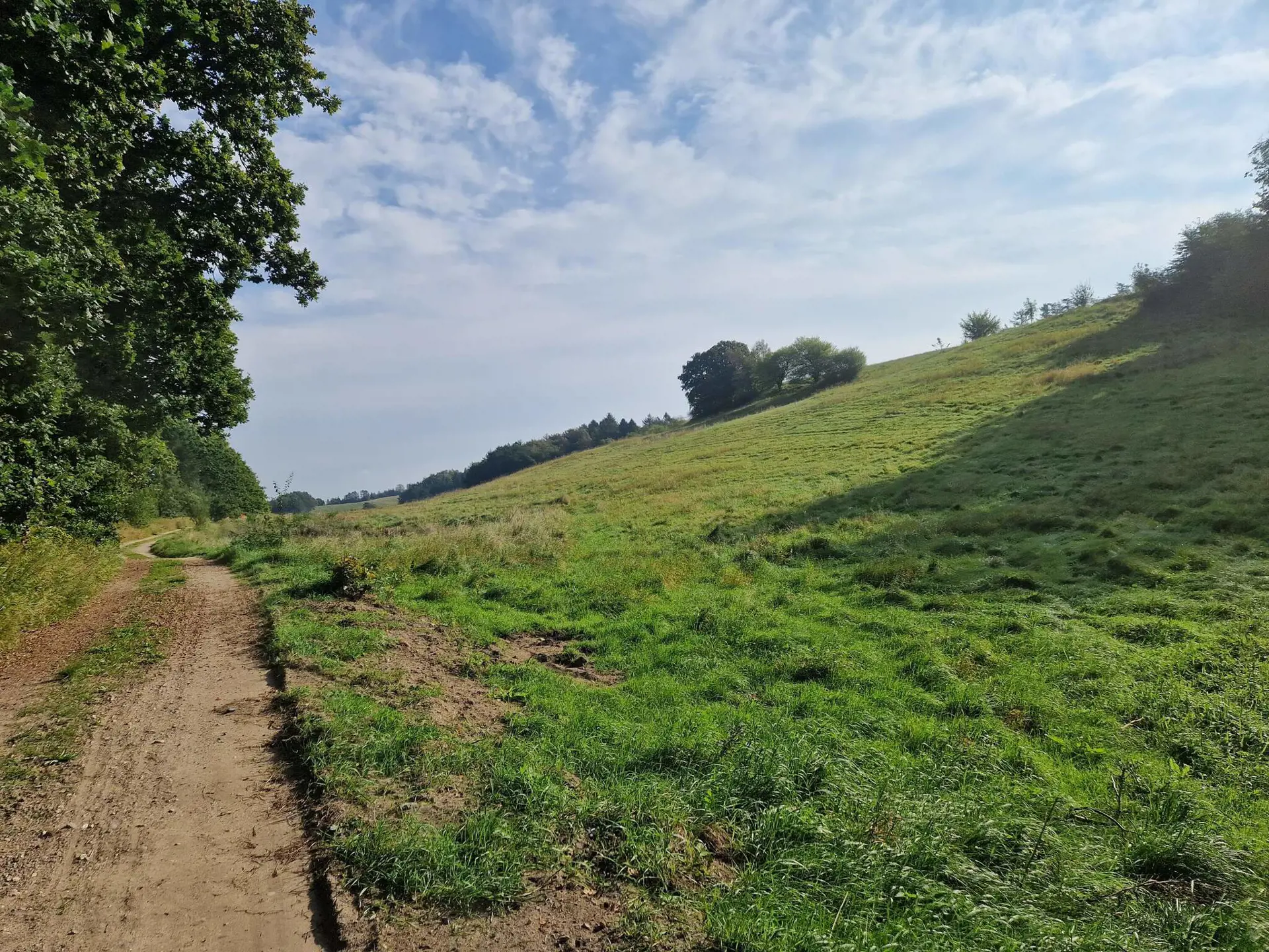 Bild 39 von 39
