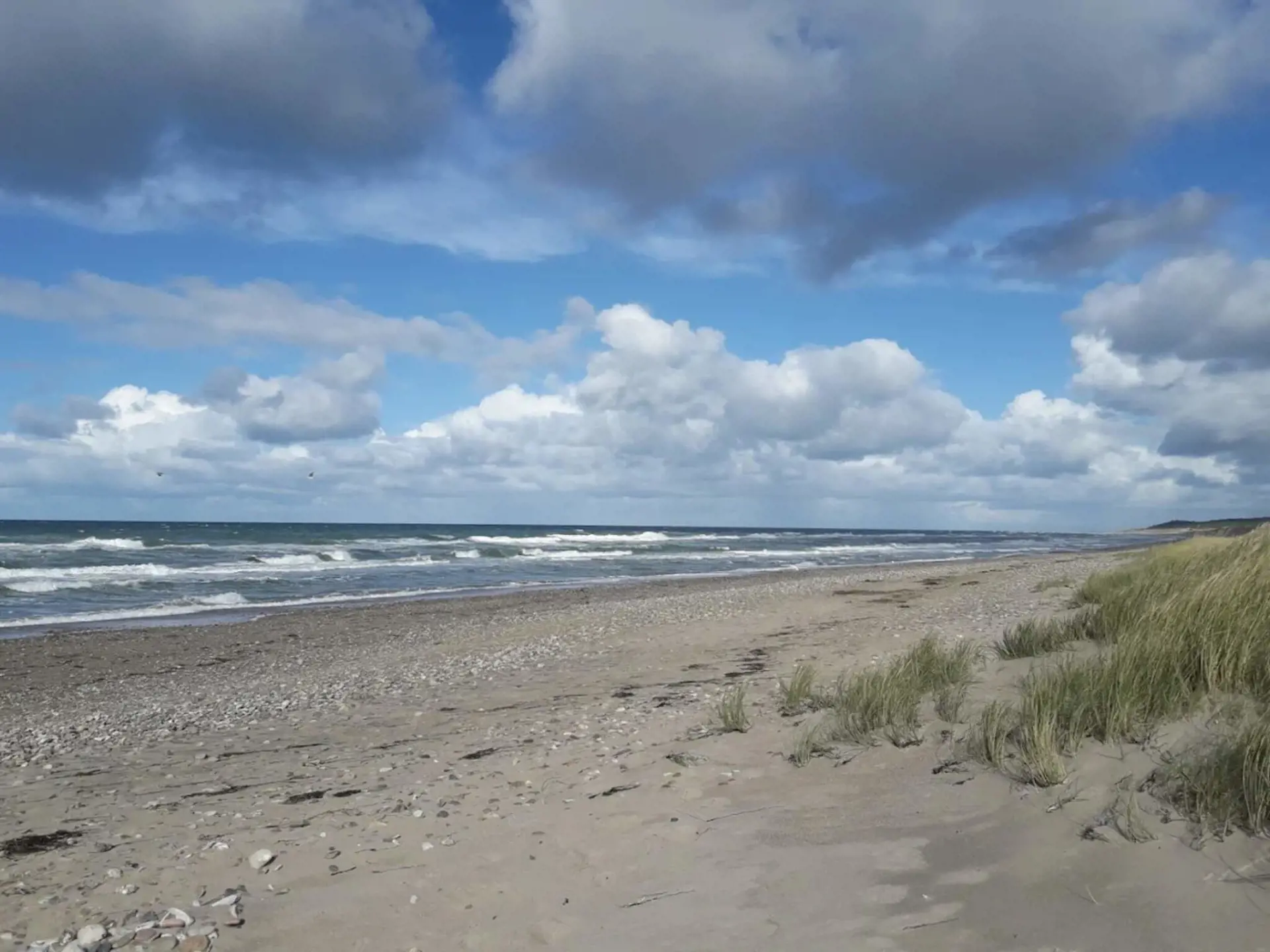 Bild 29 von 49